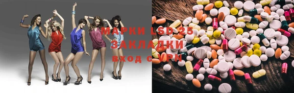 шишки Аркадак