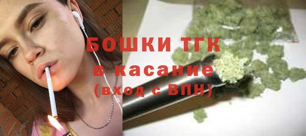 шишки Аркадак