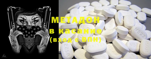 шишки Аркадак