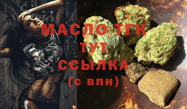 стаф Нея